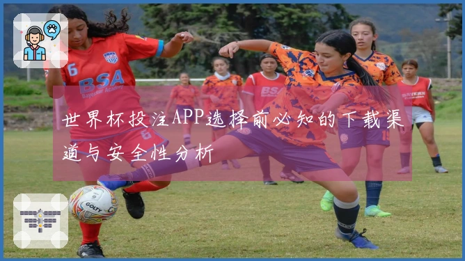 世界杯投注APP选择前必知的下载渠道与安全性分析