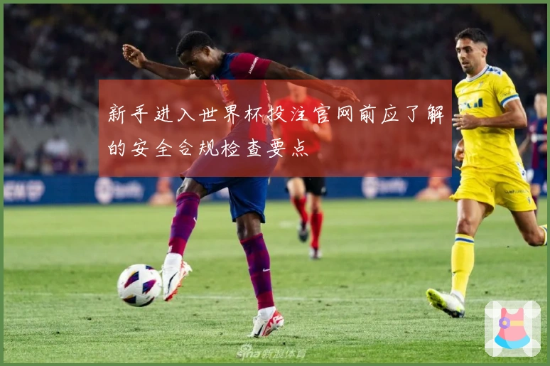 新手进入世界杯投注官网前应了解的安全合规检查要点