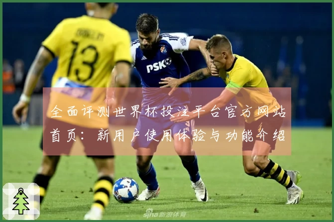 全面评测世界杯投注平台官方网站首页：新用户使用体验与功能介绍指南