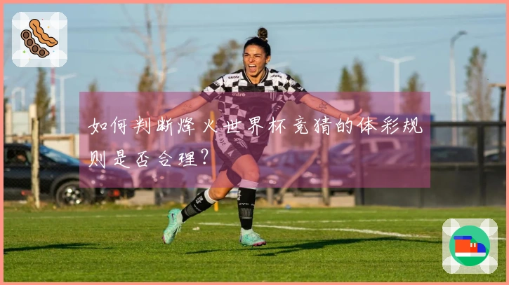 如何判断烽火世界杯竞猜的体彩规则是否合理?