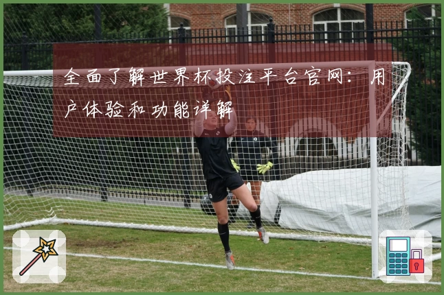 全面了解世界杯投注平台官网：用户体验和功能详解