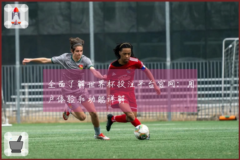 全面了解世界杯投注平台官网：用户体验和功能详解
