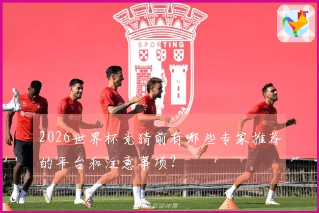 2026世界杯竞猜前有哪些专家推荐的平台和注意事项？