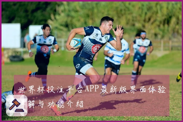 世界杯投注平台APP最新版界面体验详解与功能介绍