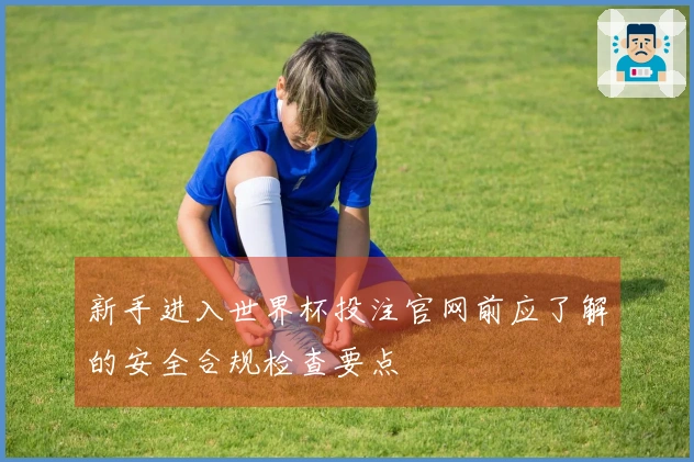 新手进入世界杯投注官网前应了解的安全合规检查要点