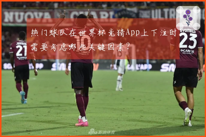 热门球队在世界杯竞猜App上下注时需要考虑哪些关键因素？